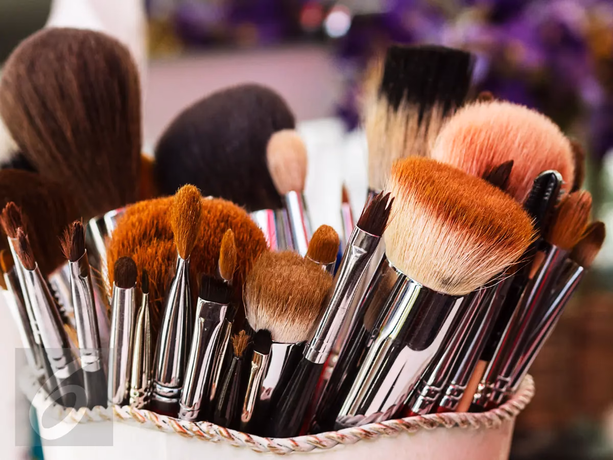 Apa saja alat makeup lengkap?