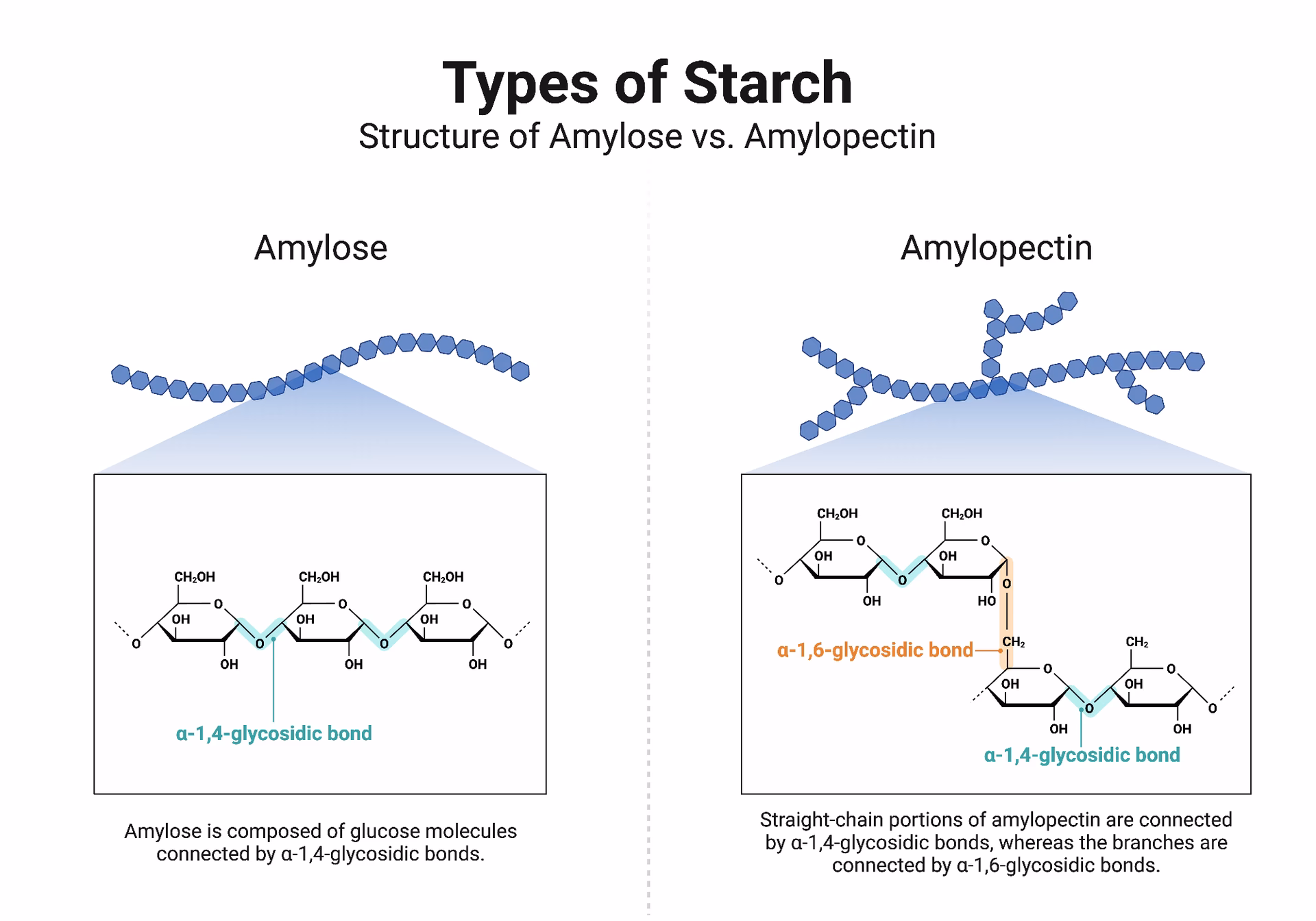 Does cellulose have 1/4 and 1/6 bonds?