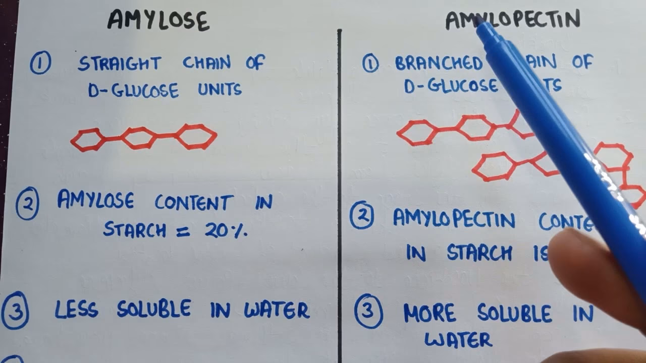 Which compound is made up of amylopectin and amylose units?