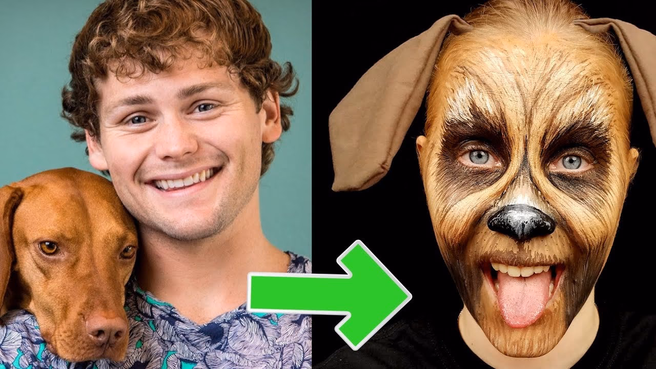 What is the downside of owning a Boxer?