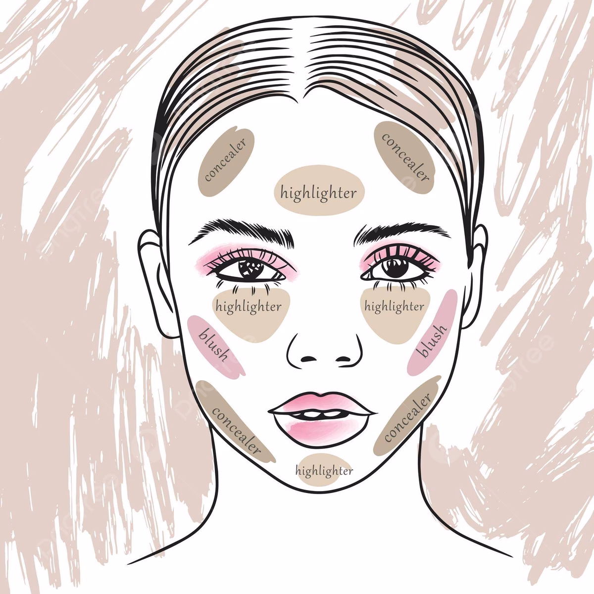 What's the difference between concealer and contour?