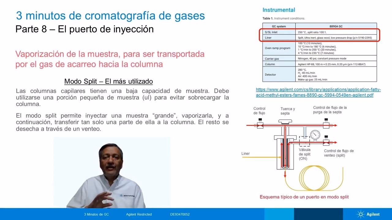 ¿Qué es el makeup en cromatografía de gases?