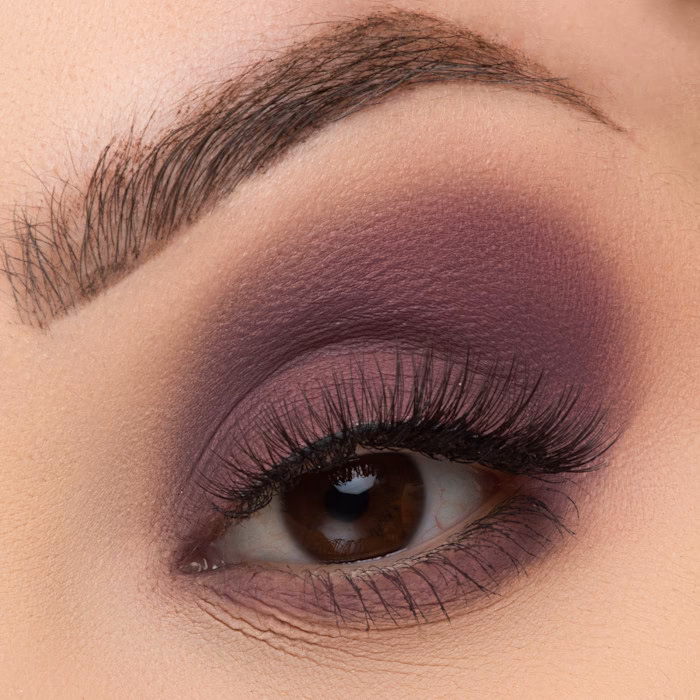 ¿Quién es el propietario de Ofra Cosmetics?