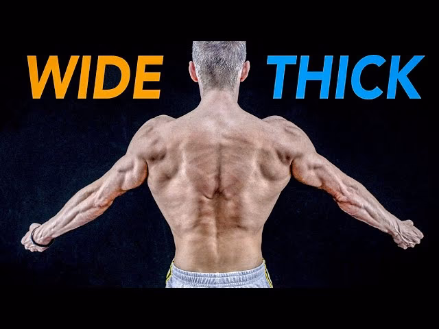 Can pull-ups make you wider?