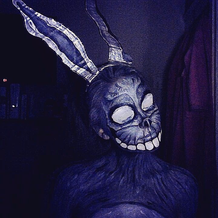 What is Donnie Darko a metaphor for?