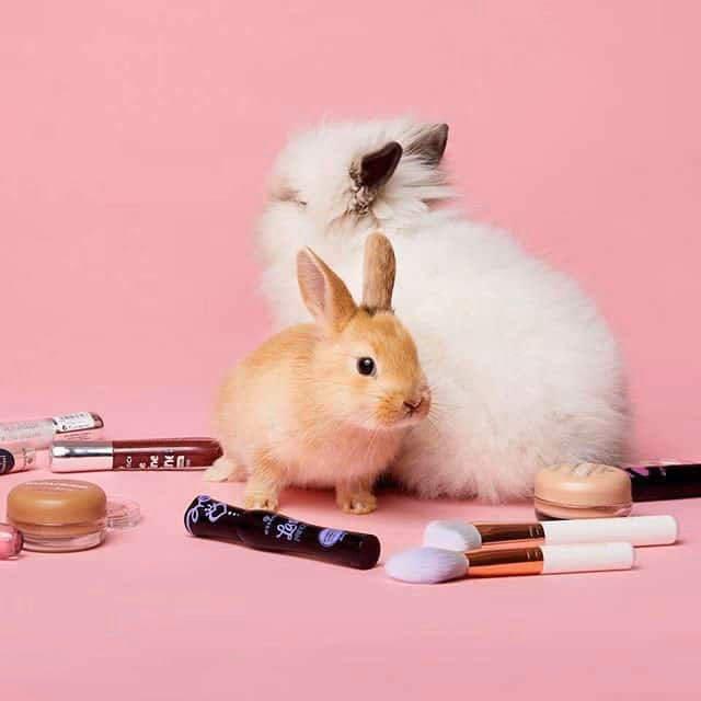 Does Essence sell in China?