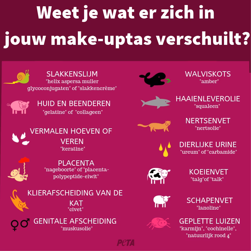 Waar wordt make-up van gemaakt?
