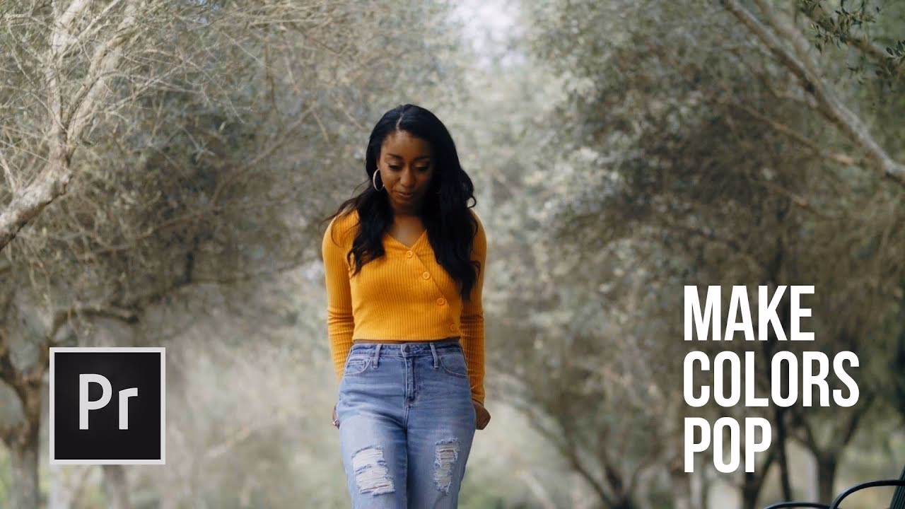 How to get a color panel in Premiere Pro?