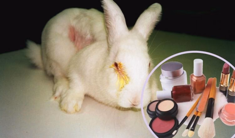 ¿Cómo se llama el maquillaje que no se prueba en animales?