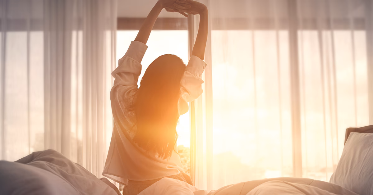 What makes us sleep and wake up?