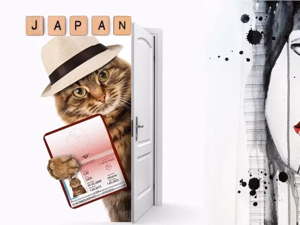 How to become a makeup artist in Japan?