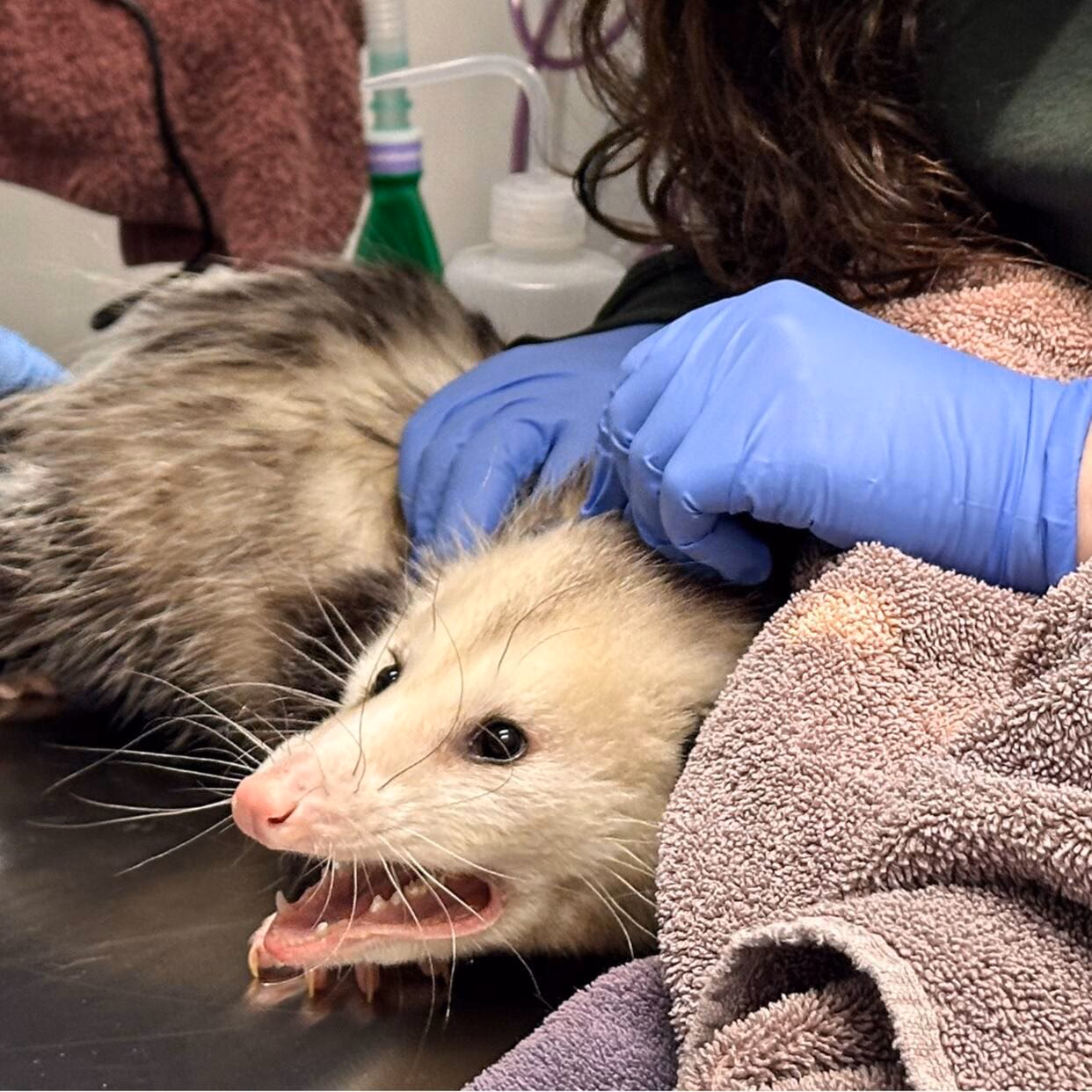 Where does the name Okposo come from?