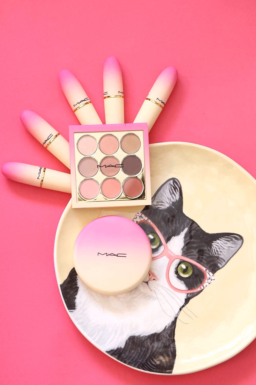 Does MAC support LGBTQ?