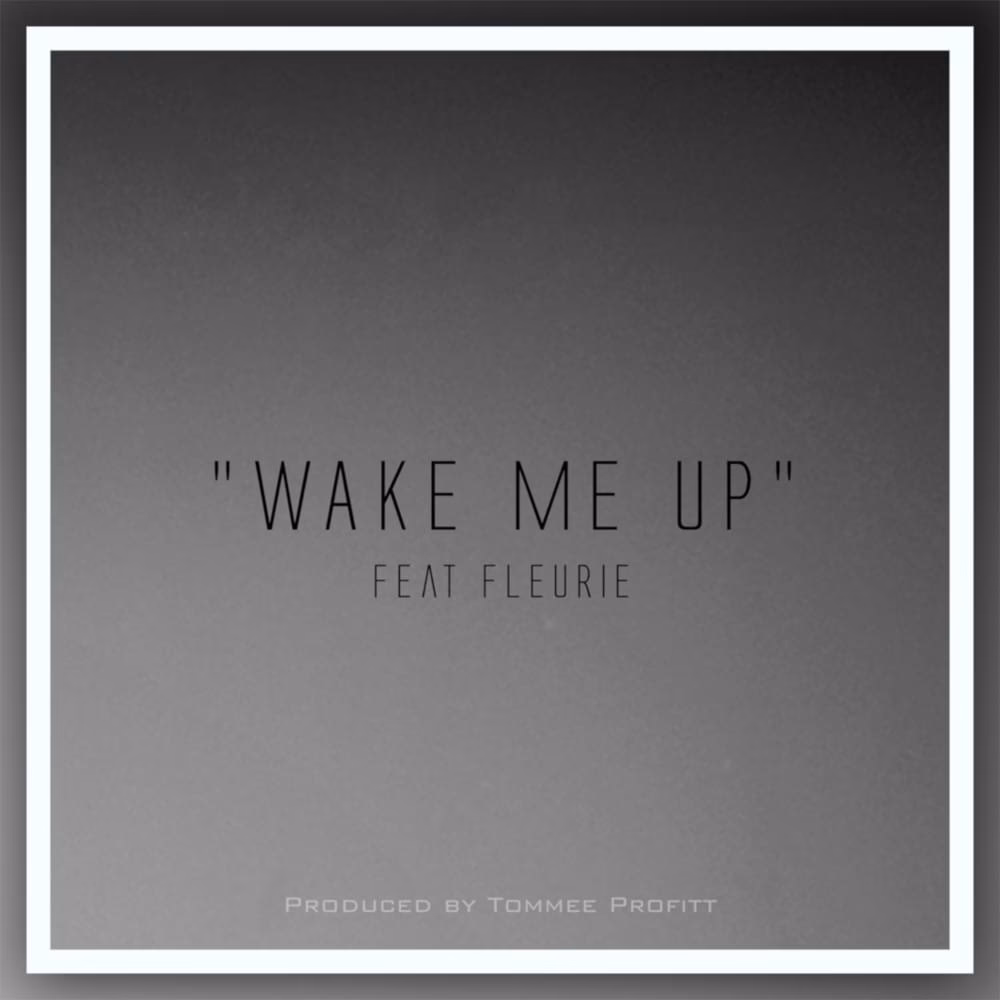 ¿Cuál es el mensaje de la canción Wake Me Up?