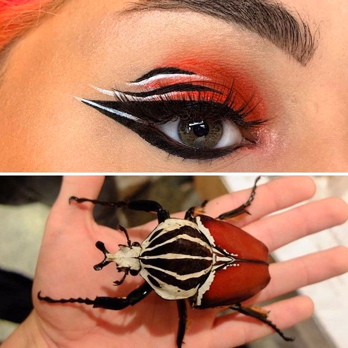 ¿Por qué hay bichos en mi maquillaje?