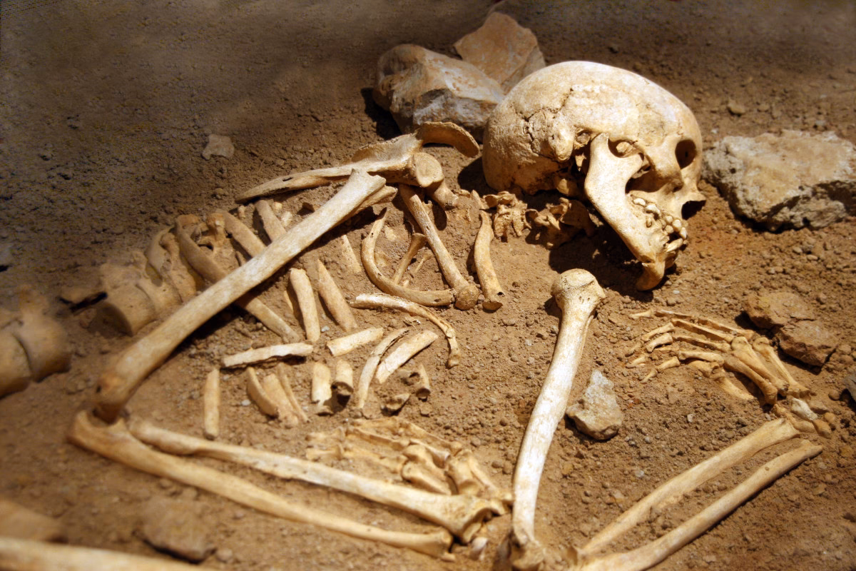 What are human remains made up of?