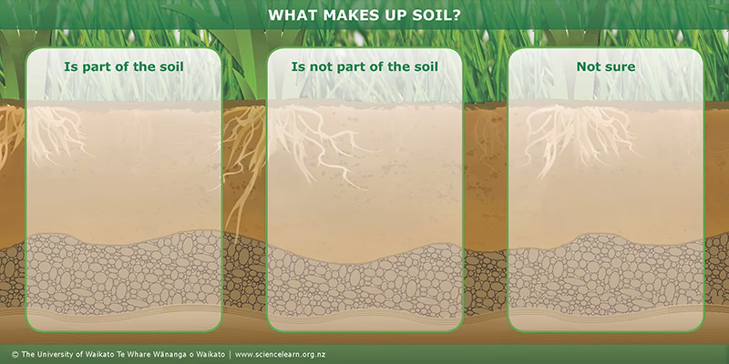 What are the 4 ingredients that make up soil?