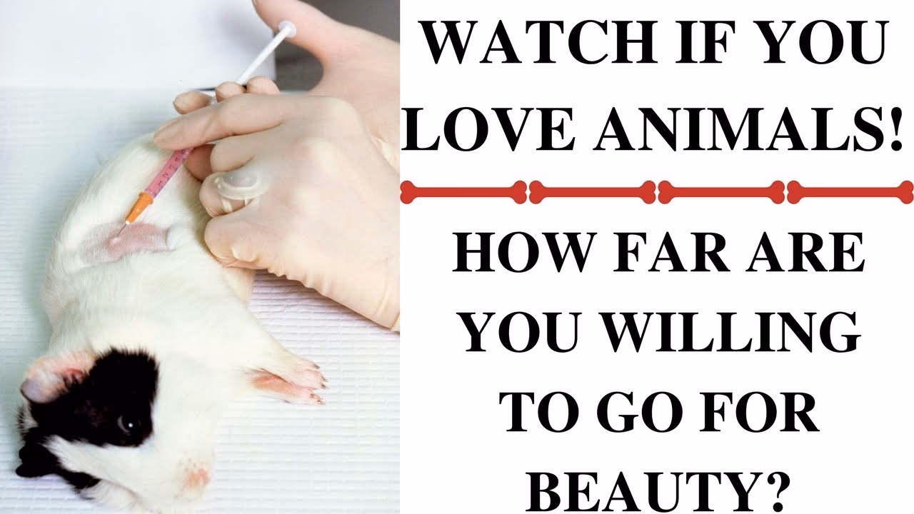 What is making up a test?