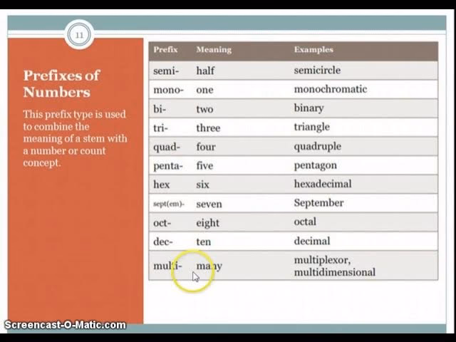 What are examples of stem words?