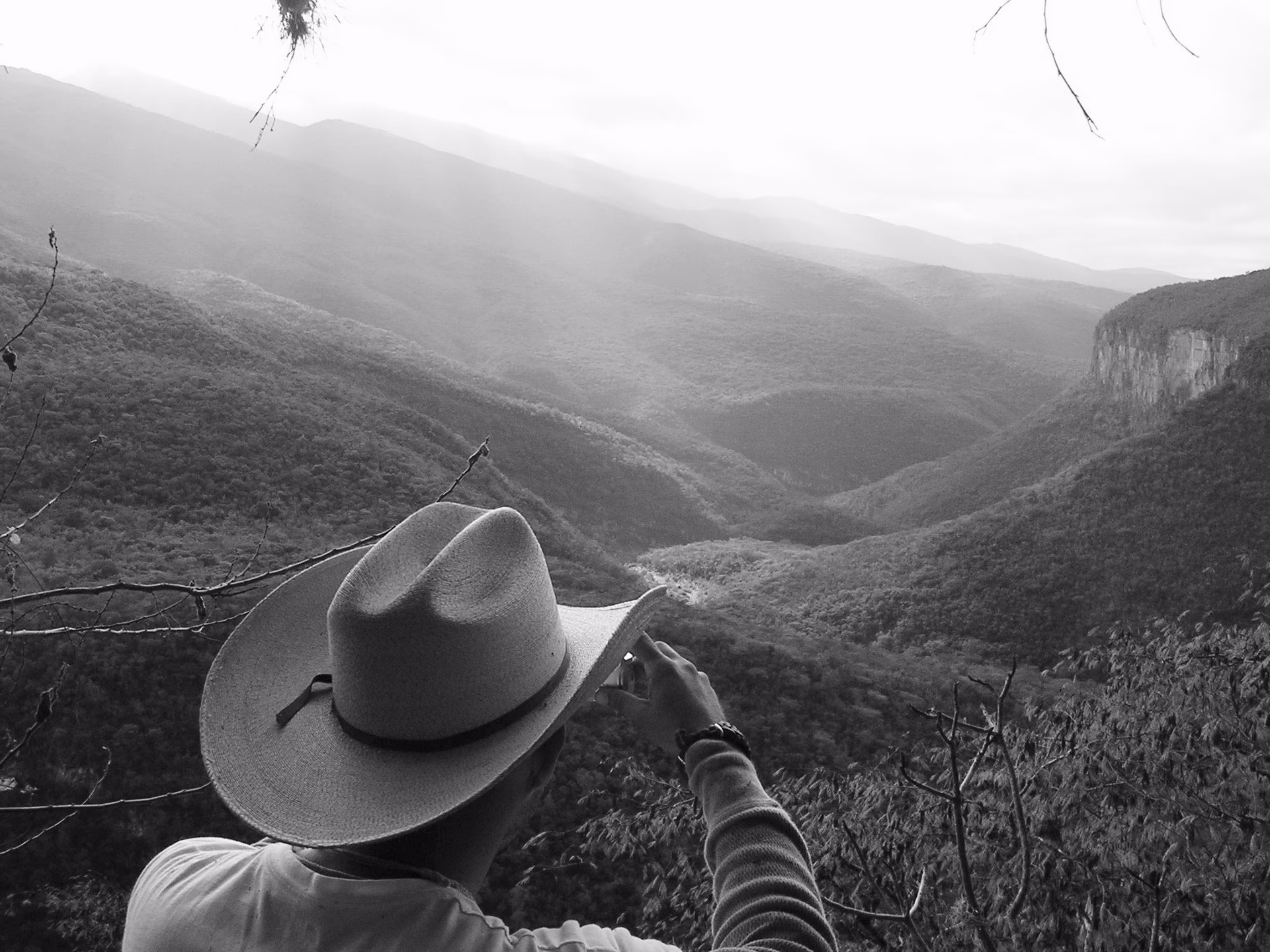 What happened to Mally Beauty?