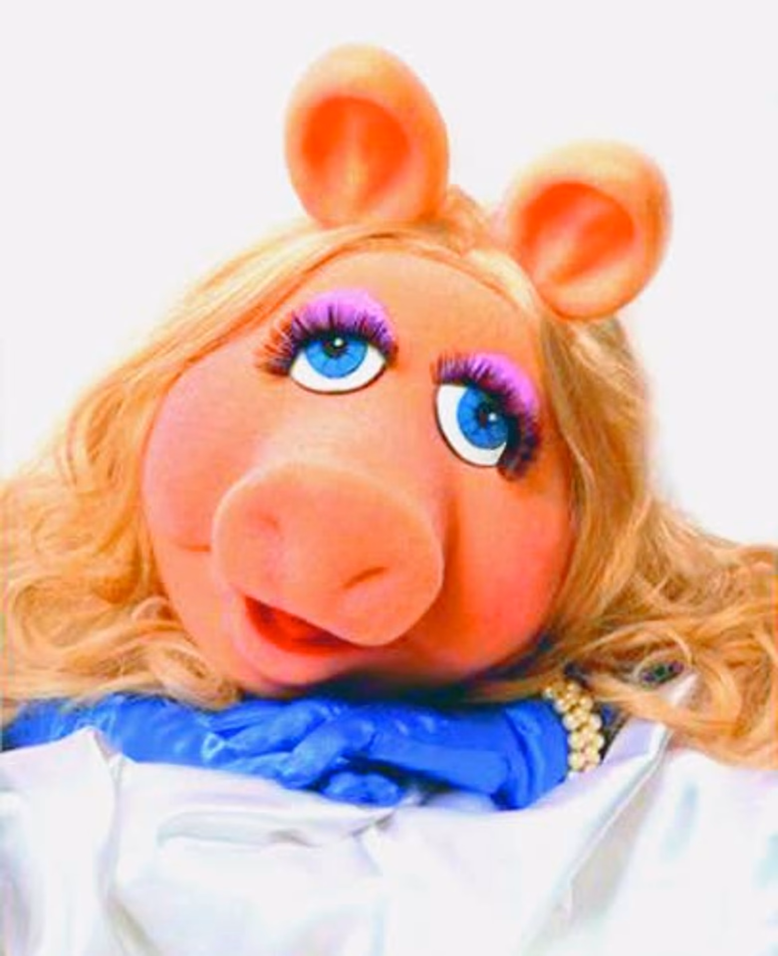 What part of the pig does makeup come from?