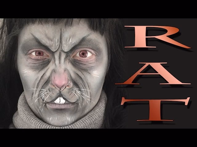 What is the difference between a roof rat and a Norway rat?