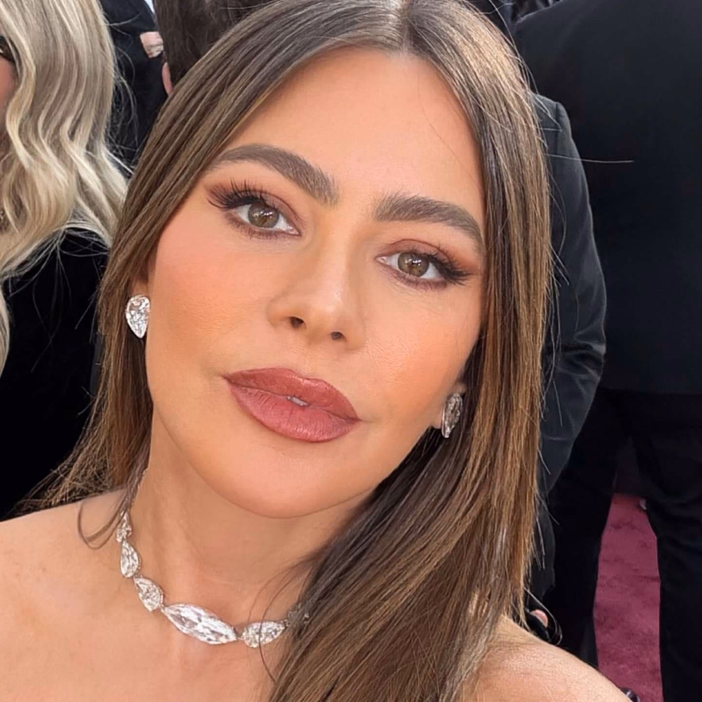 What is Sofia Vergara's cosmetic line?