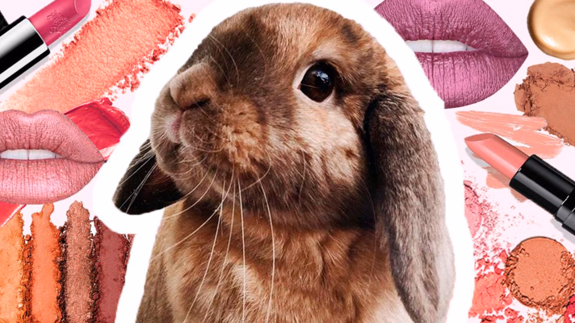 ¿La marca de maquillaje realiza pruebas en animales?