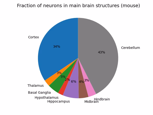 What percentage of the body does the brain make up?