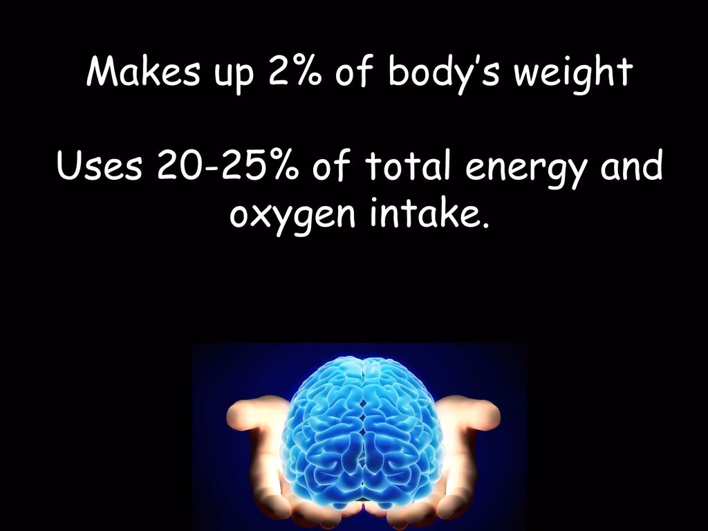 What takes up 80% of the brain?
