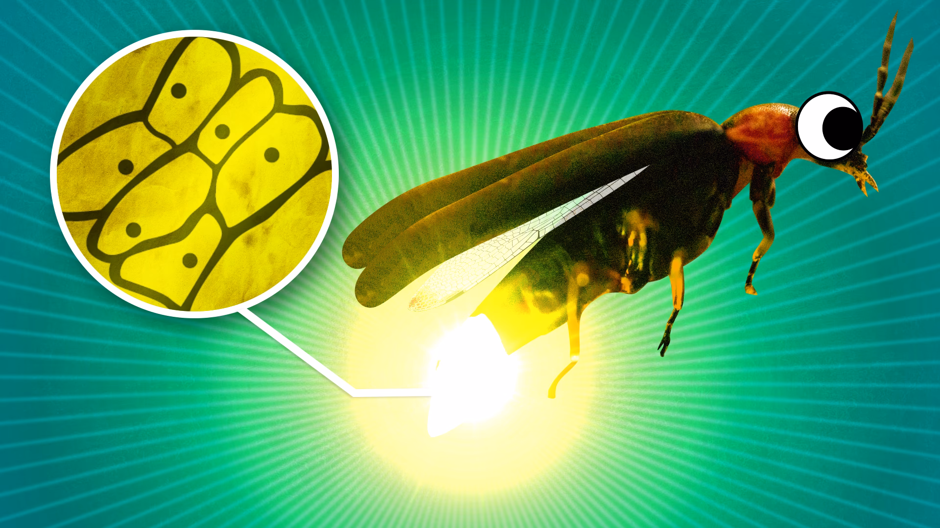 What makes lightning glow?