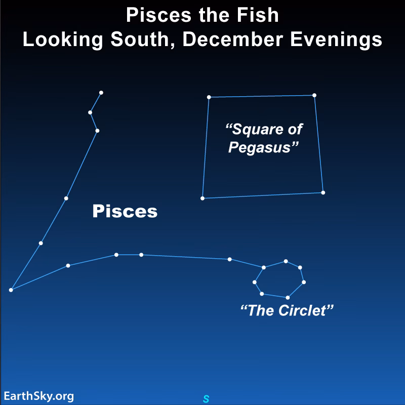Is the Pisces constellation in the Milky Way?