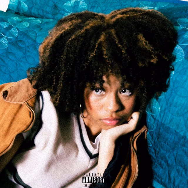 What song was sampled in Do You Mind?